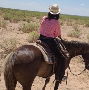 Meet your Posher, Jasper